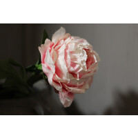 Zijden Pioenroos bloeiend roze 50 cm