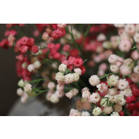 Namaak tak Gipskruid roze 66 cm