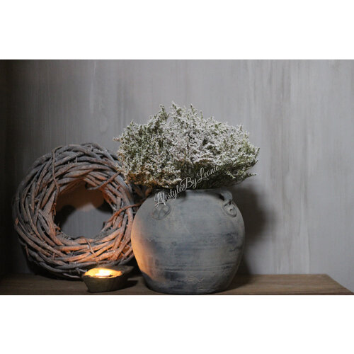 Bos gedroogde Limonium tatarica 40 cm 