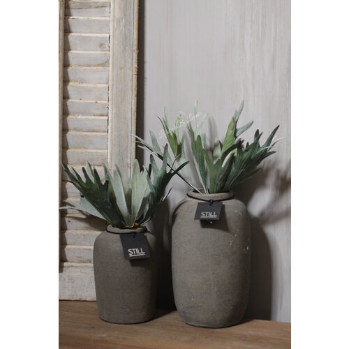 Namaak plant Hertshoorn 32 cm 