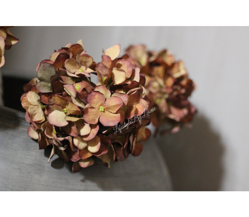 Zijden Hortensia sober brown 47 cm