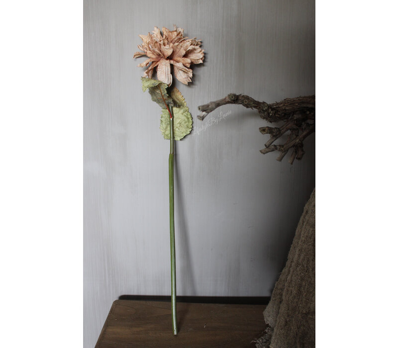Namaak Dahlia taupe