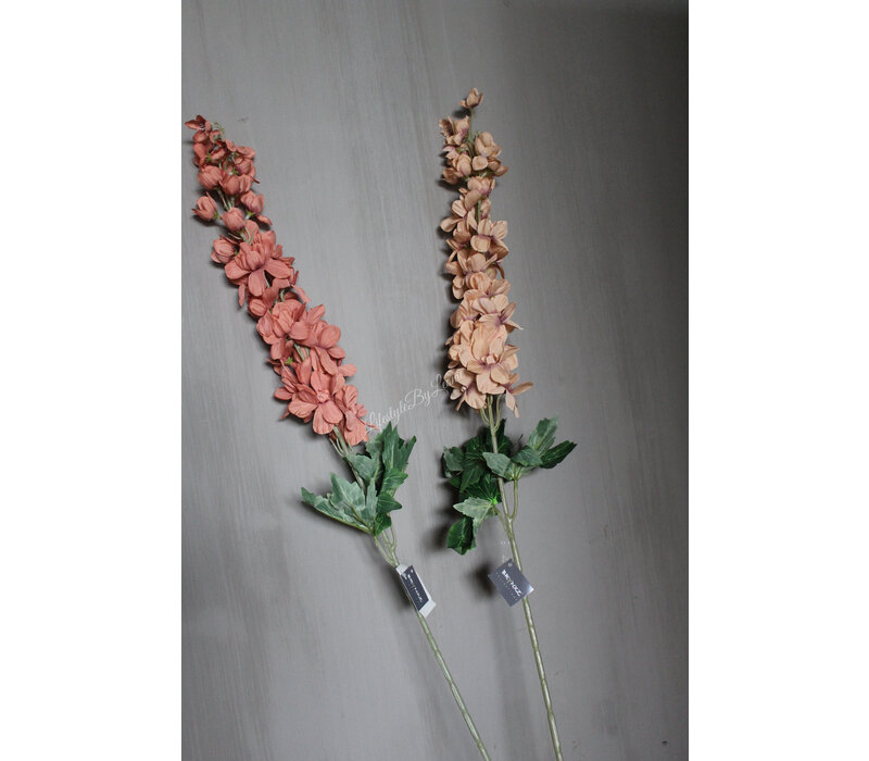 Brynxz Delphinium sweet nude 90 cm