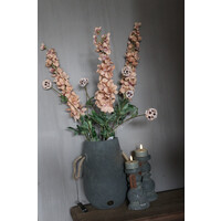 Brynxz Delphinium sweet nude 90 cm