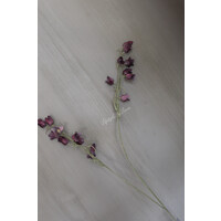 Brynxz Mini cora bell Purple 105 cm