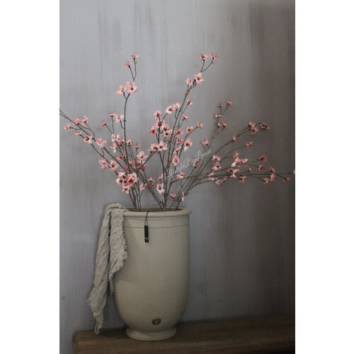 Brynxz Cornus old Pink 110 cm 