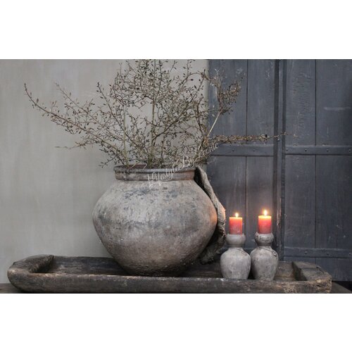 Sobere Corokia tak spray bruin 104 cm 