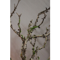 Namaak wilde twig tak met mos 70 cm