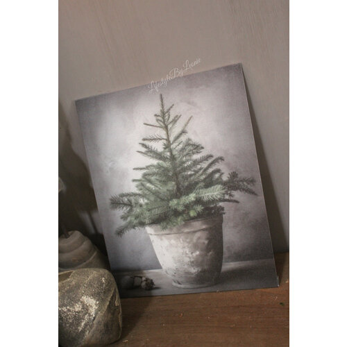 Canvas prent A4 Dennenboom 