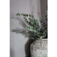 Zijden Eucalyptus tak green 105cm