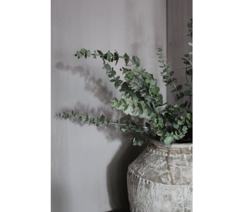 Zijden Eucalyptus tak green 105cm