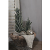 Ronde houten vijzel bak/pot 25 x 25 cm