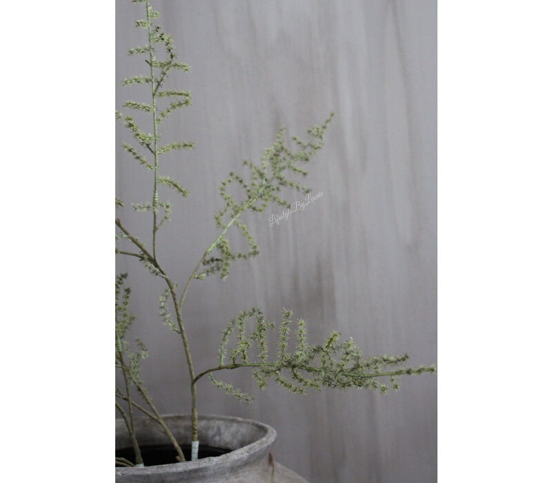 Namaak wilde Asparagus green 130 cm