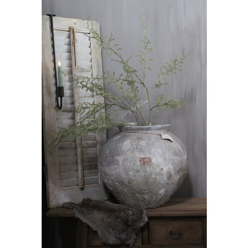 Namaak wilde Asparagus green 130 cm 