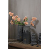 Brynxz Brynxz Hydrangea tak nude / beige 75 cm