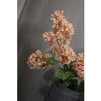 Brynxz Hydrangea tak nude / beige 75 cm