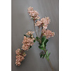 Brynxz Brynxz Hydrangea tak nude / beige 75 cm