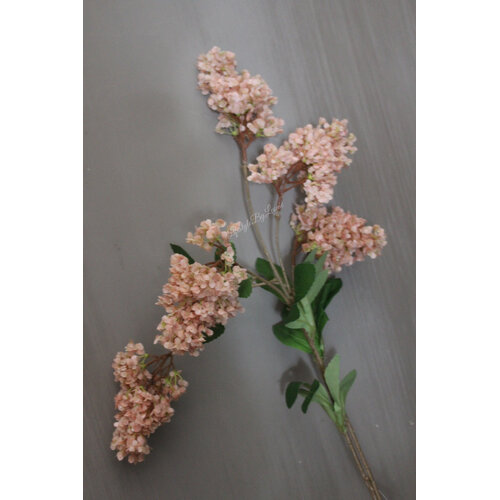 Brynxz Hydrangea tak nude / beige 75 cm 