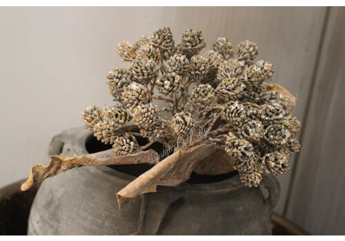Brynxz Brynxz tak met cluster dennenappeltjes 80 cm