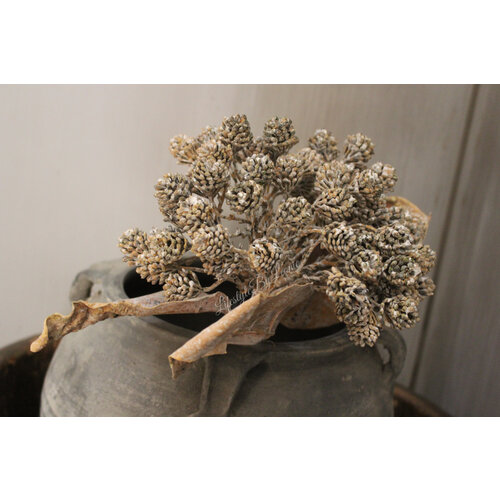 Brynxz tak met cluster dennenappeltjes 80 cm 