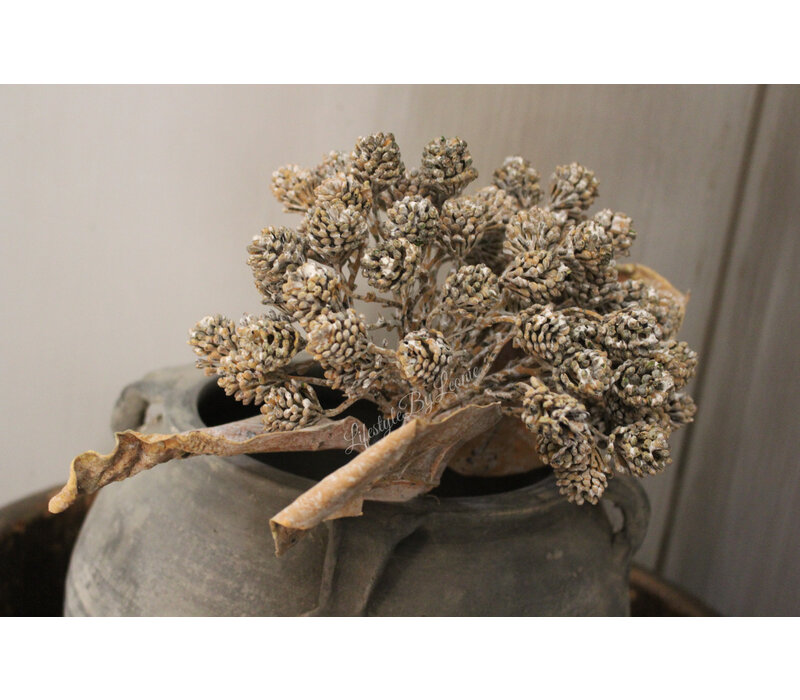 Brynxz tak met cluster dennenappeltjes 80 cm
