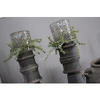 Mini kransje namaak Asparagus