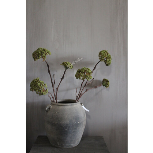 Brynxz Sedum spray green 86 cm 