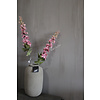 Brynxz Brynxz zijden Delphinium pink 80 cm