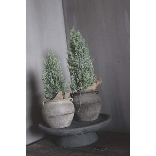 Namaak cedar iced boom 40 cm 