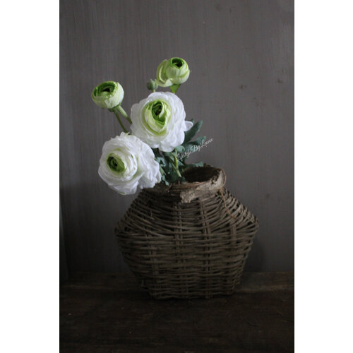 Zijden Ranonkel green/white 40 cm 