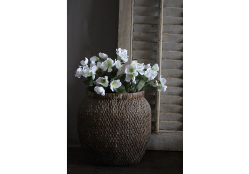 Zijden Helleborus wit 58 cm