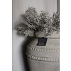 Brynxz Corokia bos Grey wash 42 cm
