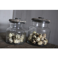 Grote doos kwarteleitjes - 60 stuks