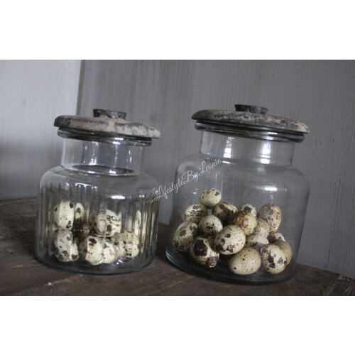 Grote doos kwarteleitjes - 60 stuks 