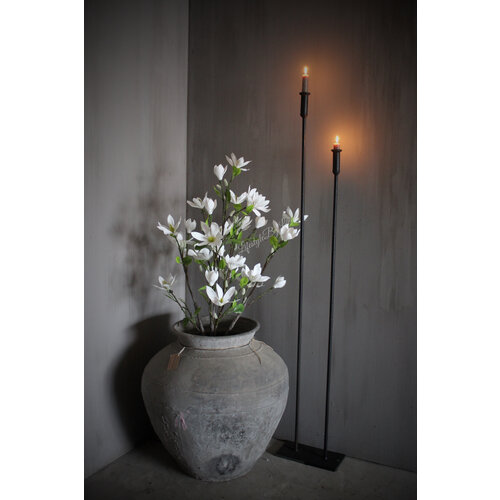 Namaak witte Magnolia boom in pot 120 cm 