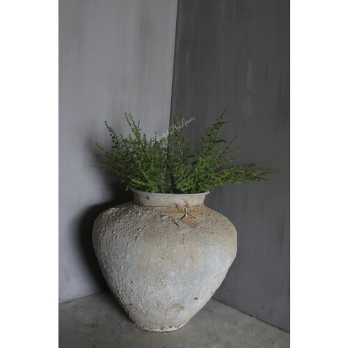 Namaak wilde Asparagus green 73 cm 