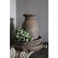Groene toef met wit Gipskruid 30 cm