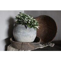 Groene toef met wit Gipskruid 30 cm