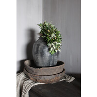Groene toef met witte Distel en Magnolia