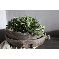 Groene toef met witte Distel en Magnolia