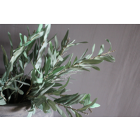 Brynxz zijden Olijftak grey/green 100 cm