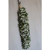 Smalle groene toef met wit Gipskruid