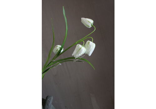 Zijden Fritillaria white 57 cm