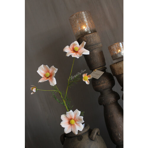 Zijden Cosmos tak white/salmon 66 cm 