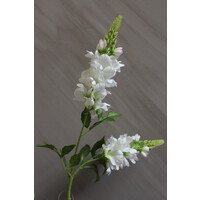 Zijden tak Lupine white 77 cm