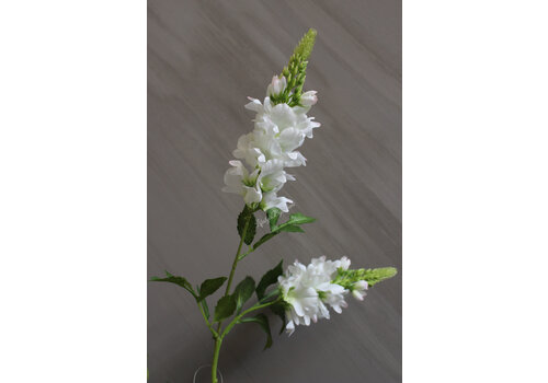 Zijden tak Lupine white 77 cm