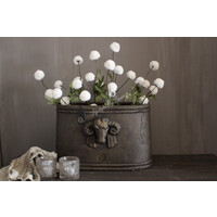 Brynxz ovale pot met ram 40 x 24 x 25 cm