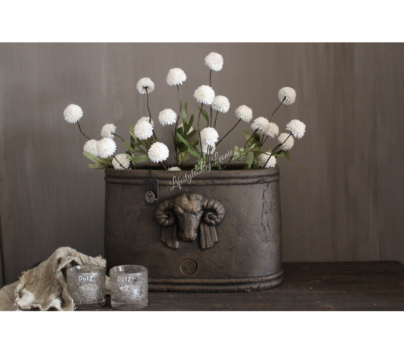Brynxz ovale pot met ram 40 x 24 x 25 cm