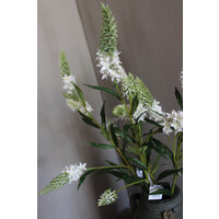 Zijden Veronica tak white 75 cm