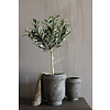 Stenen pot French 20 x 14 cm
